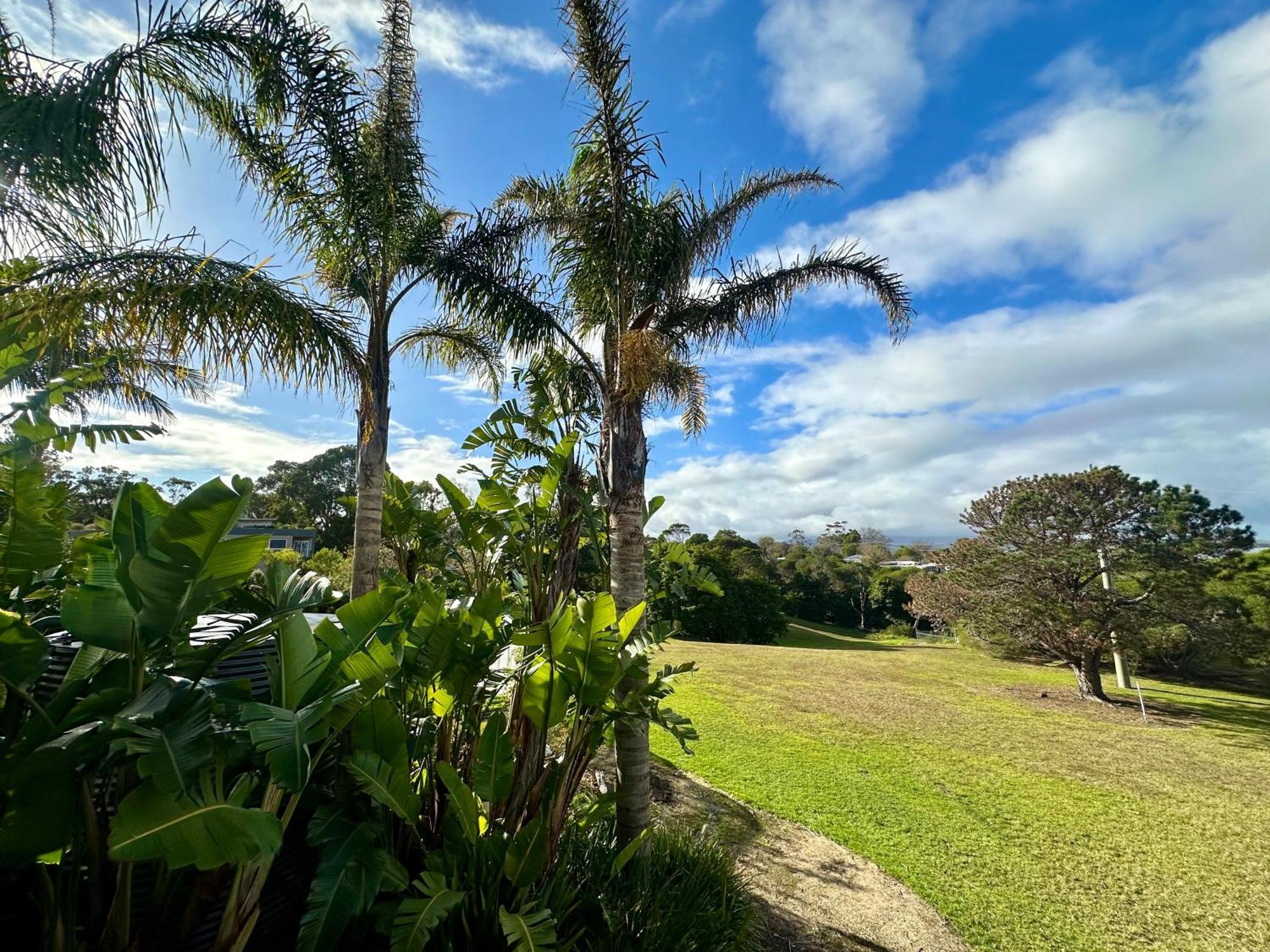 The Wave Oasis Sc B&B Mallacoota Exterior photo